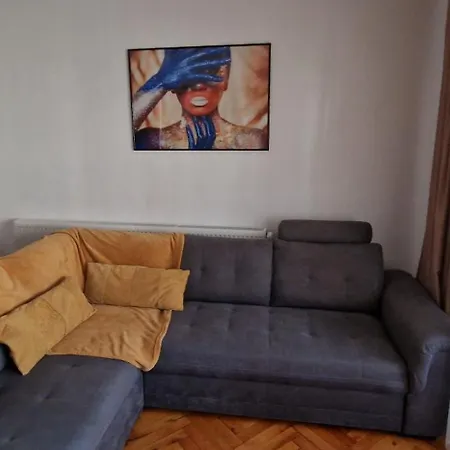 Apartment Amedeea 2 Timisoara