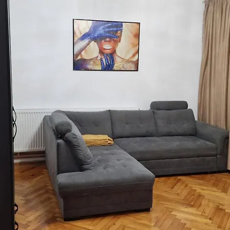 Apartment Amedeea 2 Timisoara