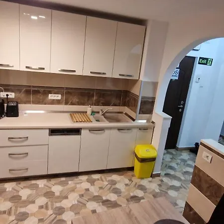 Apartment Amedeea 2 *